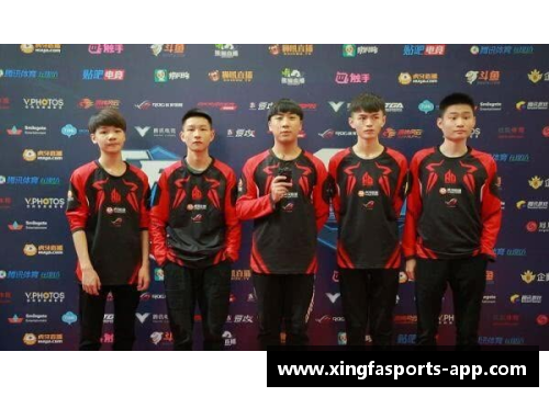 药厂球员：重塑辉煌，迎接新挑战