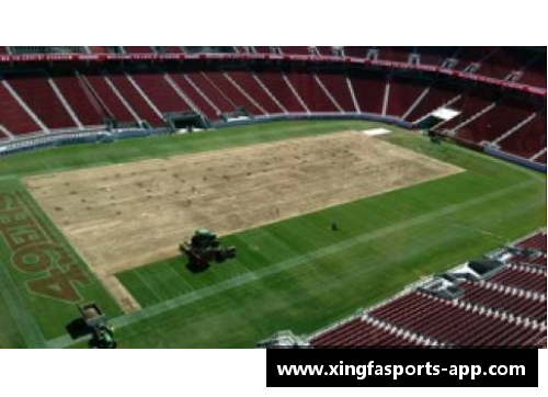 球场未来：规划球员之道